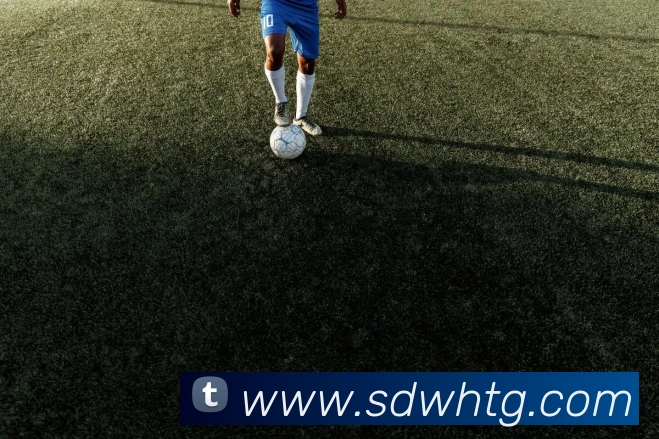 App Interface Preview